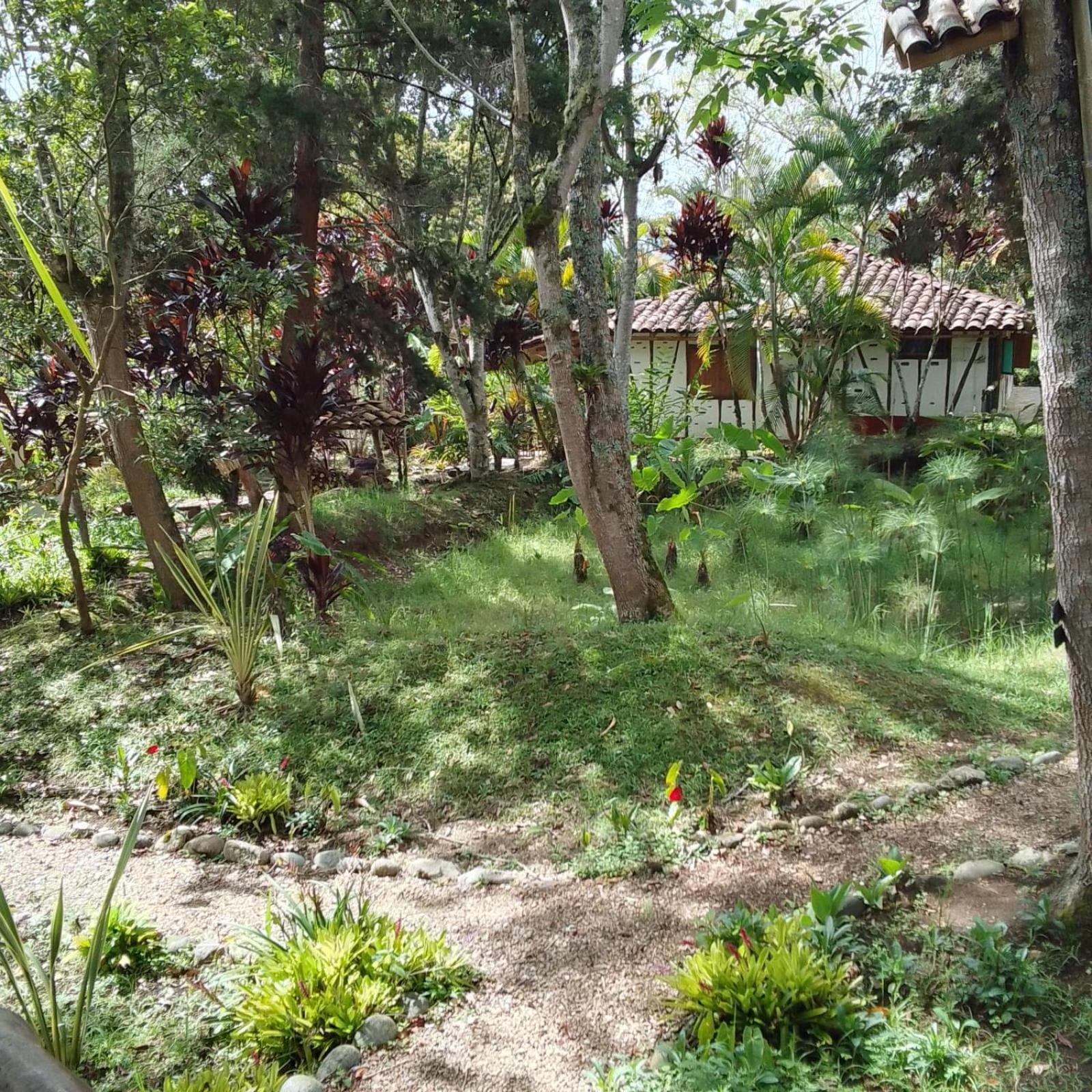 Hotel La Casa De Francois San Agustín Eksteriør bilde